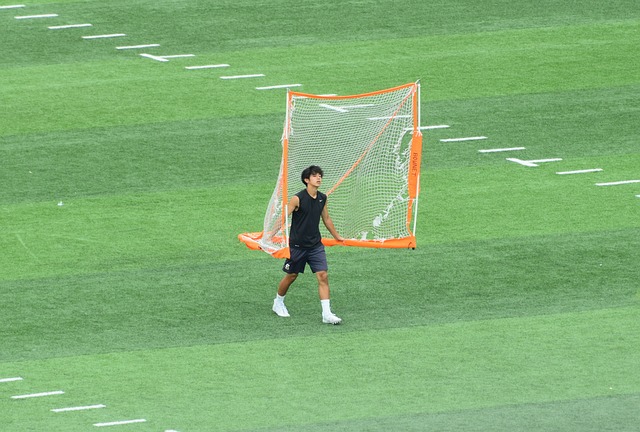 向标
