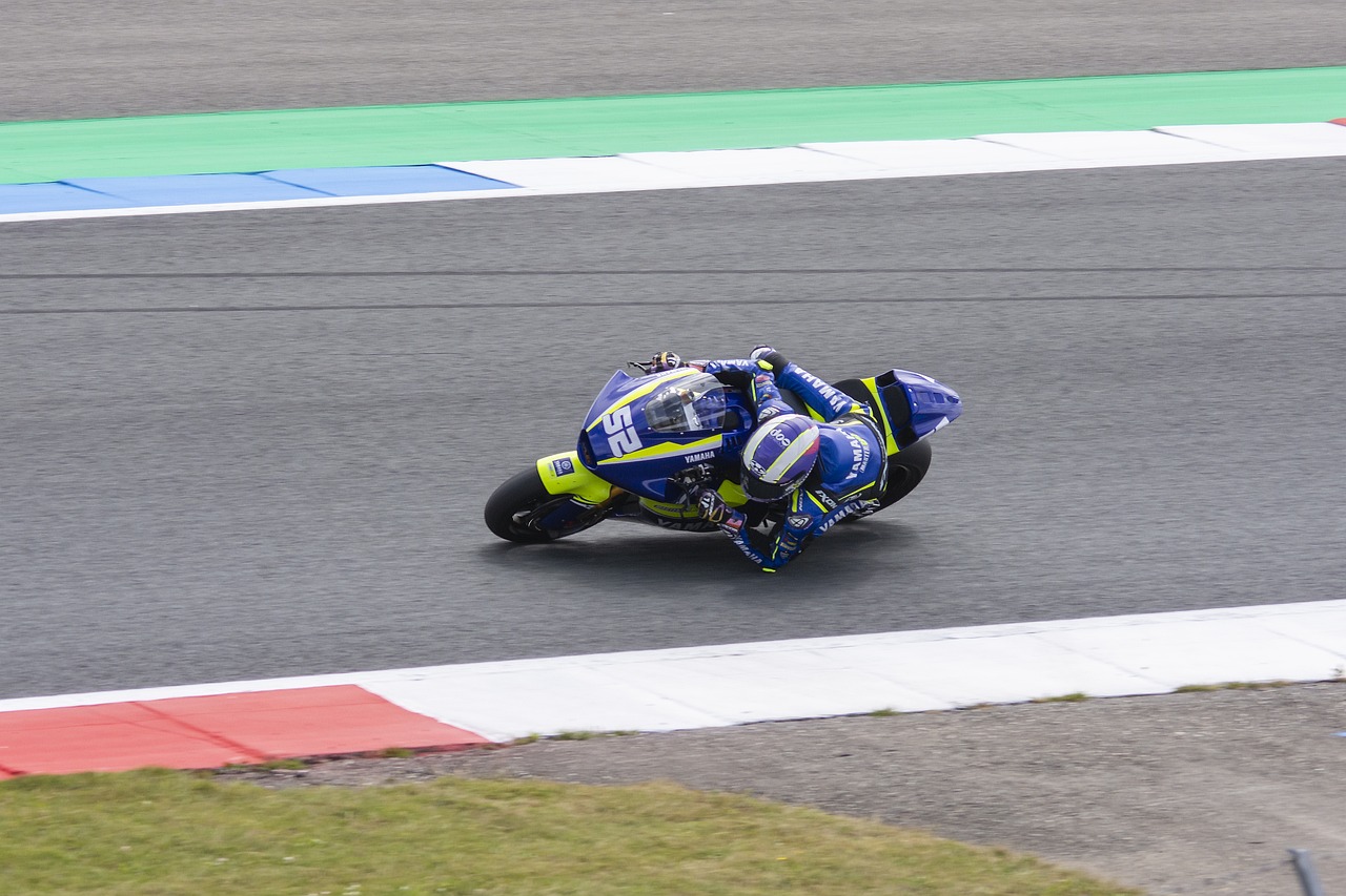 在雄鹿對老 在雄鹿對老