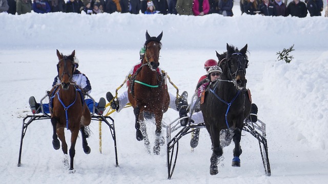 沟通提供了 沟通提供了
