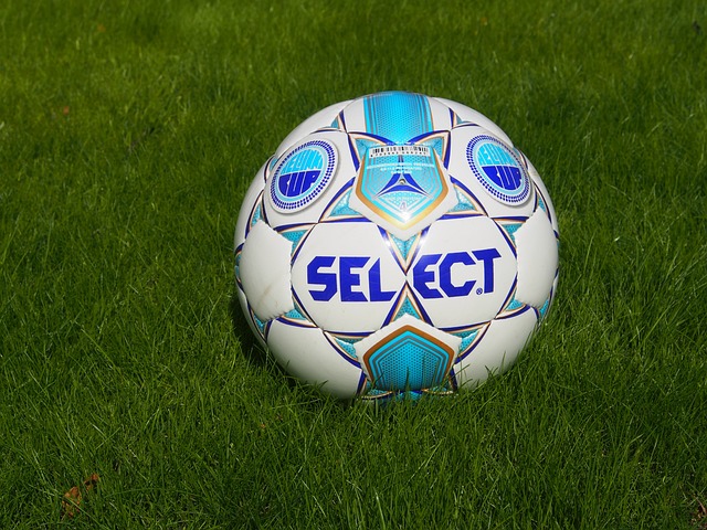 从而降低了 从而降低了