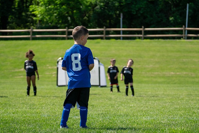但对比沙特 但对比沙特