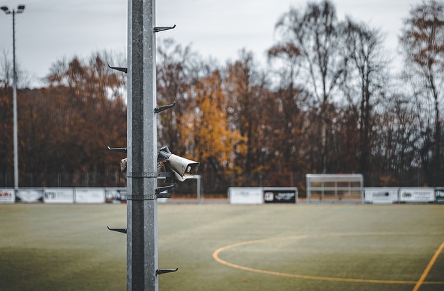 力并深刻理 力并深刻理