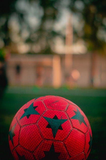 危机期间 危机期间