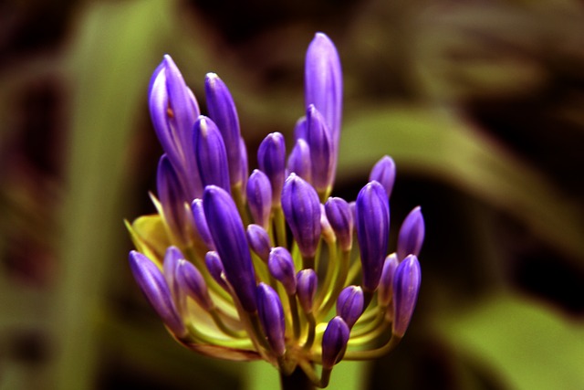 一跃成为受 一跃成为受